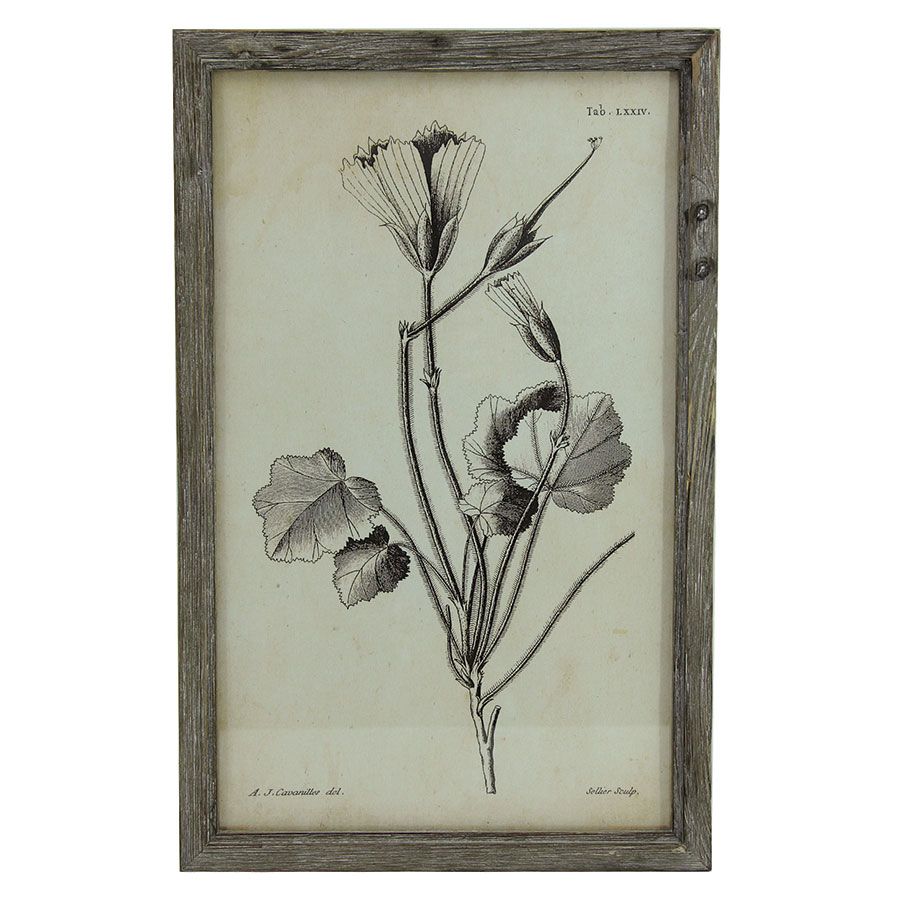Tableau floral façon planche botanique 55 cm x 35 cm