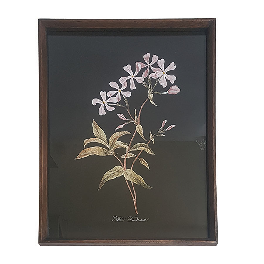Tableau floral sur fond noir façon herbier 32x44 cm