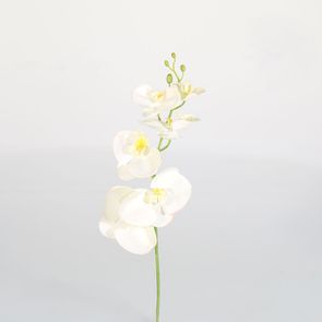Orchidée blanche fleur artificielle