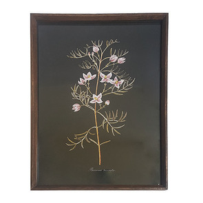 Tableau floral sur fond noir façon herbier 32x44 cm